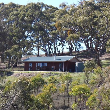 Molly'S Chase Bed & Breakfast Emu Flat Exterior foto
